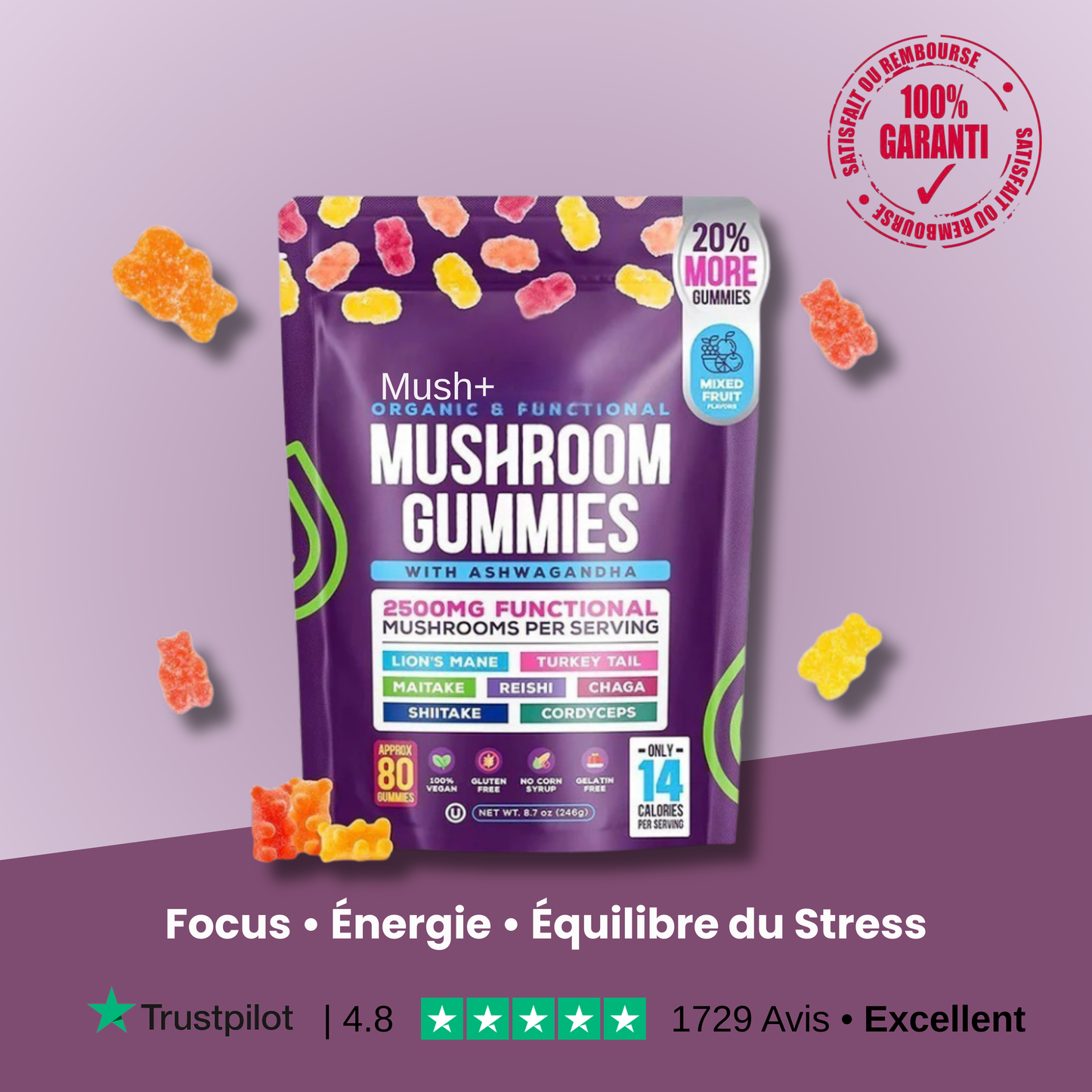 Mush + | Gummies Clarté & Énergie