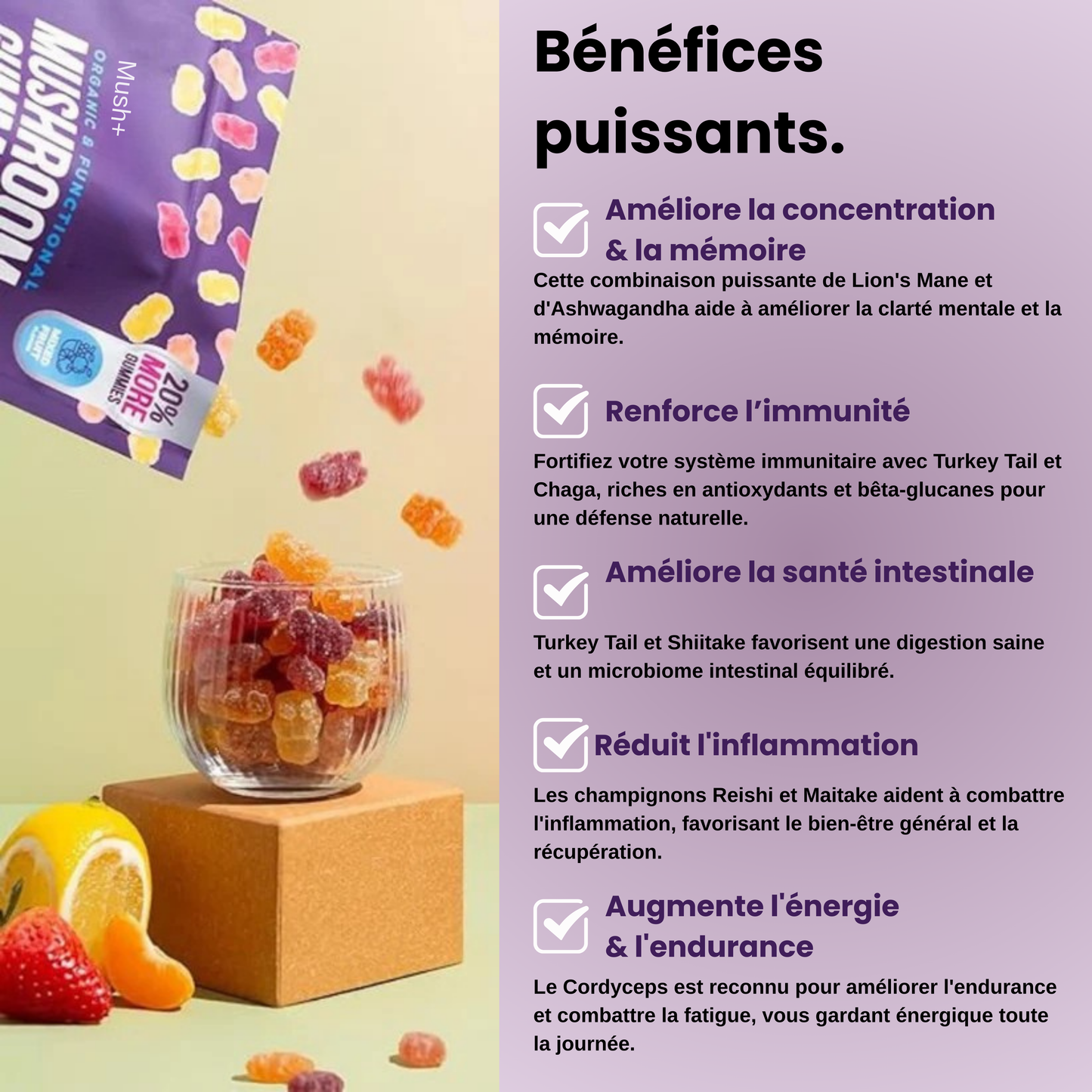 Mush + | Gummies Clarté & Énergie