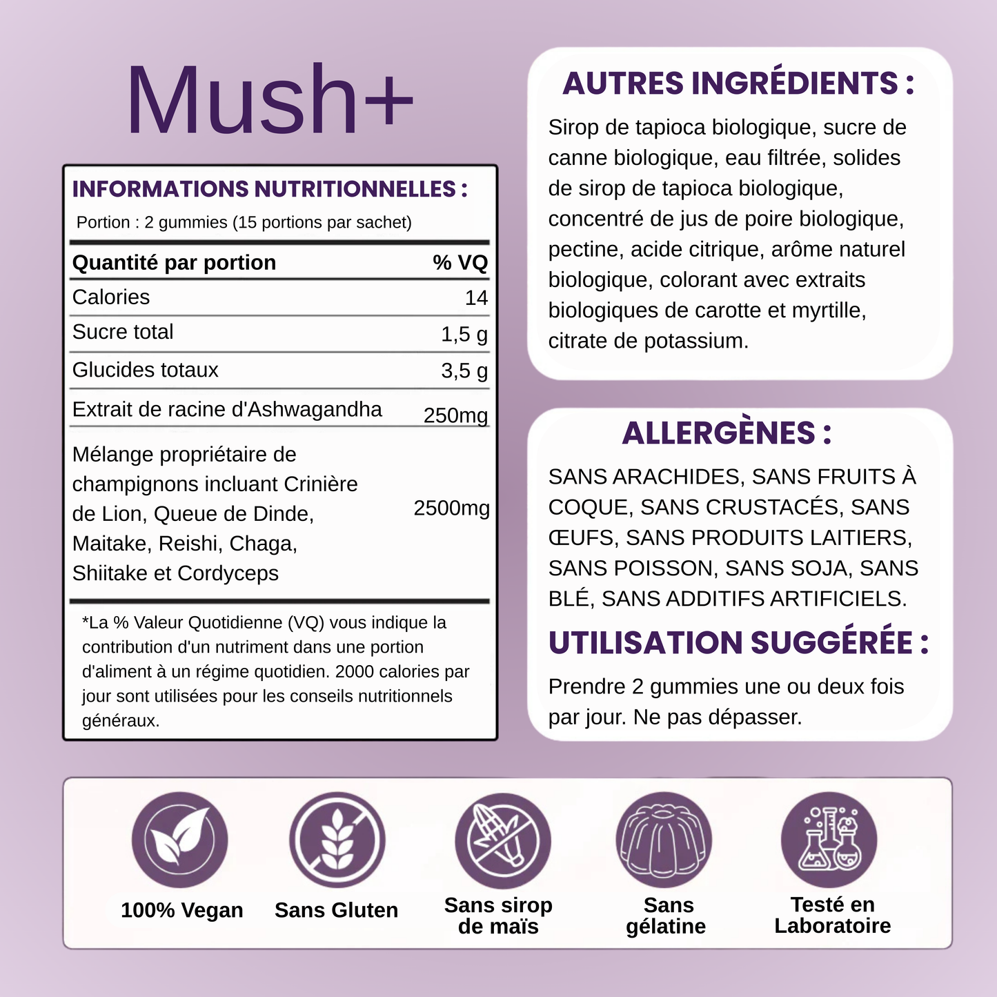 Mush + | Gummies Clarté & Énergie