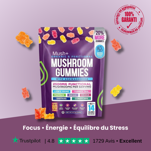Mush + | Gummies Clarté & Énergie