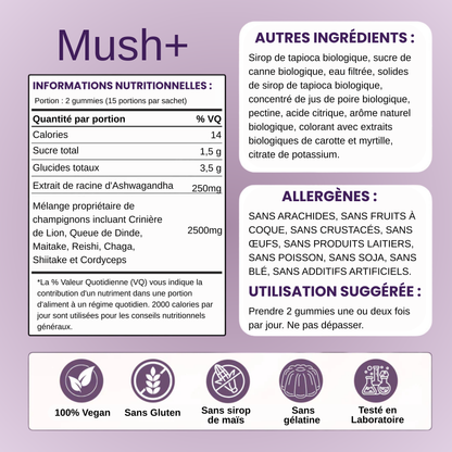 Mush + | Gummies Clarté & Énergie